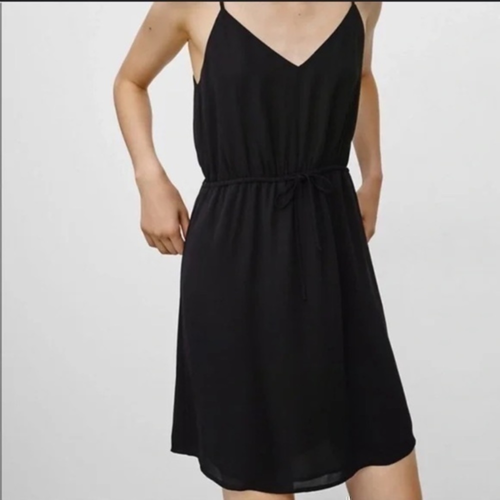Aritzia Babaton black Dress
